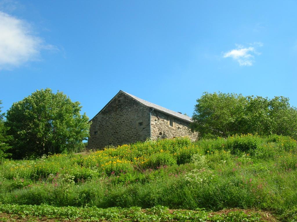 Bastides Du Mezenc Bed & Breakfast Saint-Front  Екстериор снимка